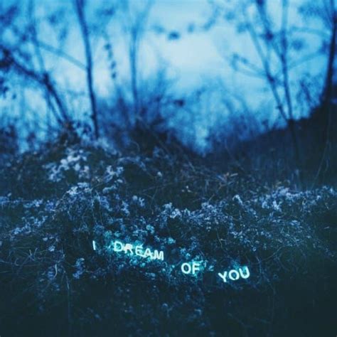 I Dream Of You Blue Words Mystic Forest Fey Vibes