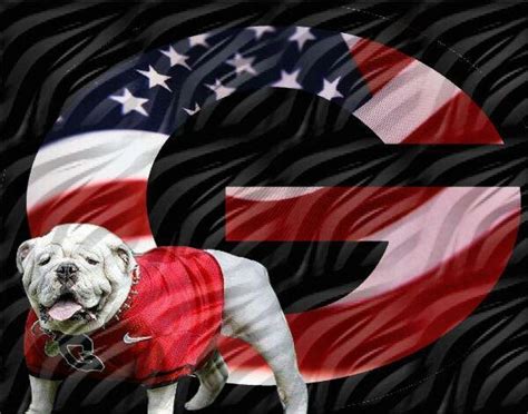 17 Best Images About Go Dawgs On Pinterest Football Season Georgia