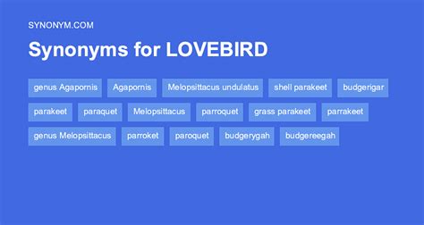 Another Word For Lovebird Synonyms And Antonyms
