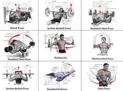 Best Workout Chest Routine Exercise Your Chest Once A Week ~ Multiple