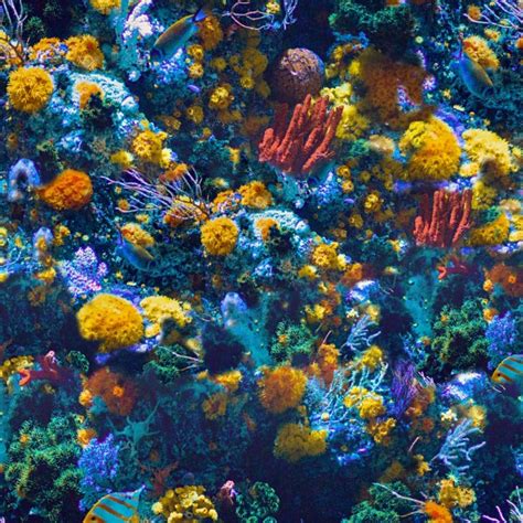 Coral Reef 22 Pattern