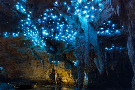 New Zealands Glow Worm Caves Glimmer Naturally With Countless Dots Of