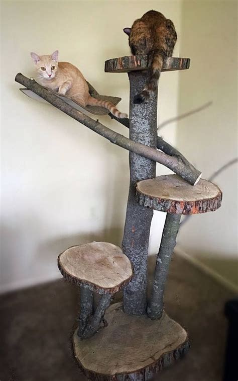 Un arbre à chat fait maison divertira votre « minou » pendant des heures. Épinglé sur #DIY - Mon Magasin général