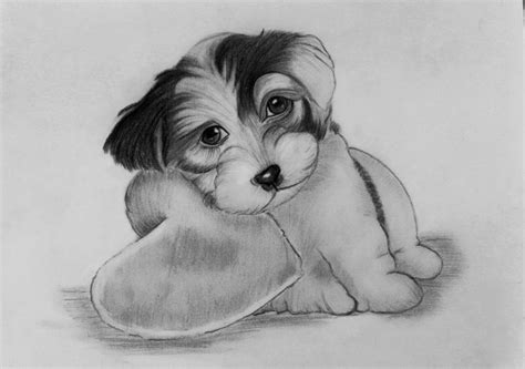 Pencil Sketch Cute Puppies