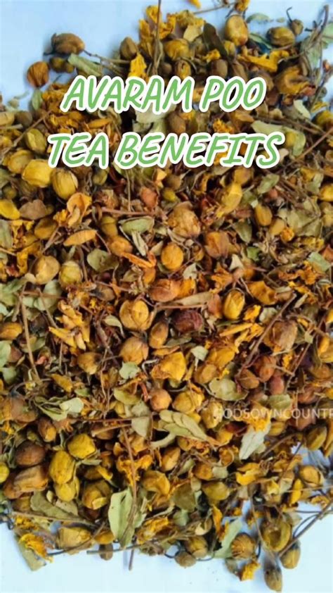 Avaram Poo Tea Benefits Video Tea Benefits Herbal Infusion Herbalism