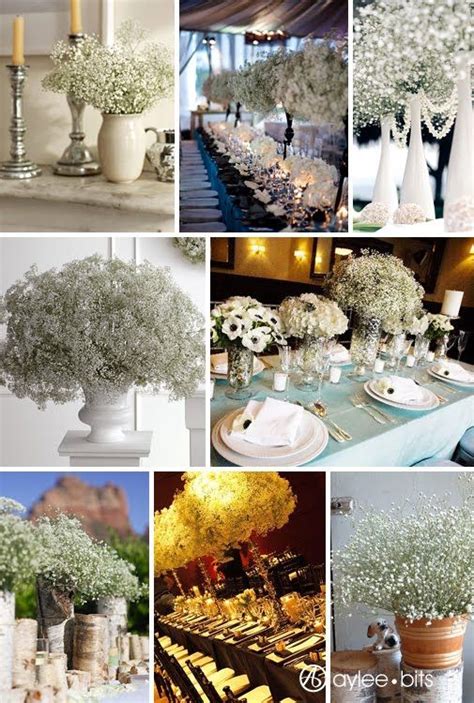 What kind of flowers for 25th anniversary. My Daughter's Wedding to Be..... | 25th wedding ...