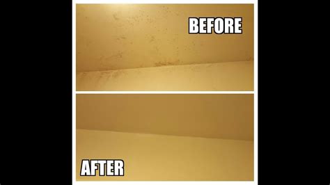 Bathroom cleaning is very important for enjoying cleanliness as it is directly linked to maintenance of personal hygiene. Remove black mold from bathroom ceiling and walls fast ...