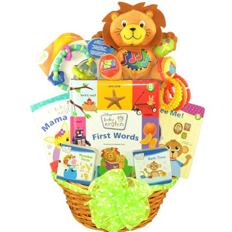 Baby Einstein Laugh Learn And Discover Baby T Basket Baby T