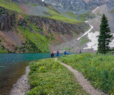 Wildflower Hikes That Were Exceptional Crazy About Colorado