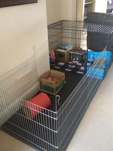 X Pendog Crate Rabbit Housing Diy Rabbit Cage Rabbit Enclosure