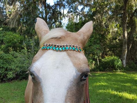 Colgando Faux Emeralds Browband Para Caballo Tiro O Pony Etsy España