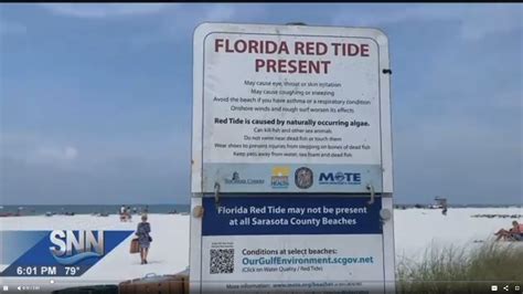 What To Know About Red Tide In Sarasota County The Suncoast News Scoop
