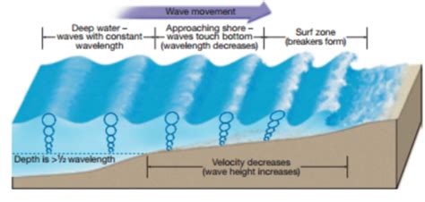 Wave Motion Waves And Tides