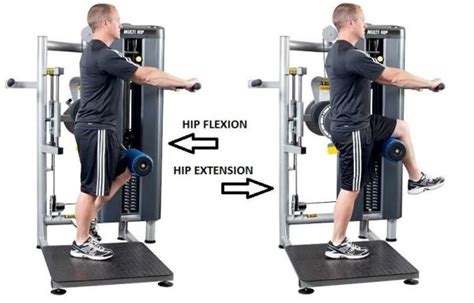 Gym Equipment Hip Flexor And Hip Extensor • Bodybuilding Wizard