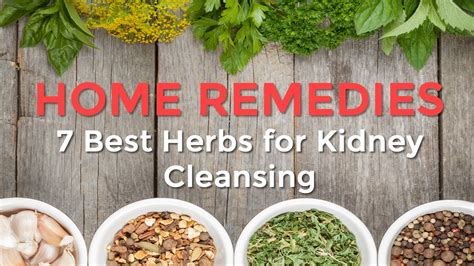 Kidney cleanse for ultimate renal health. 7 Best Herbs for Kidney Cleansing | Sports Health & WellBeing