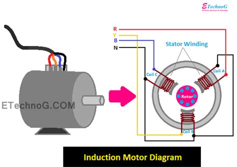 How Induction Motor Works Explained With Diagram Etechnog
