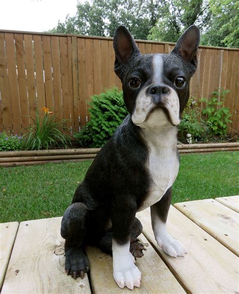 Boston Terrier Dog Figurine Resin Animal Statue Pet 165 Sitting Puppy