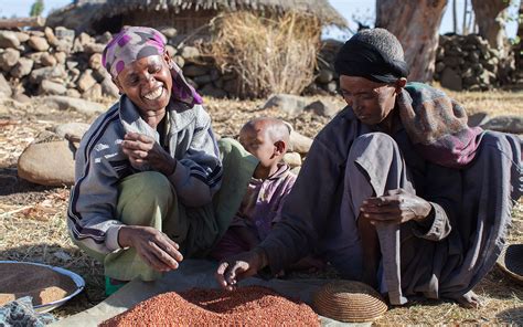 The Fred Hollows Foundation Supports Food Relief For Ethiopia Fred