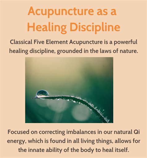 Classical Five Element Acupuncture Itea