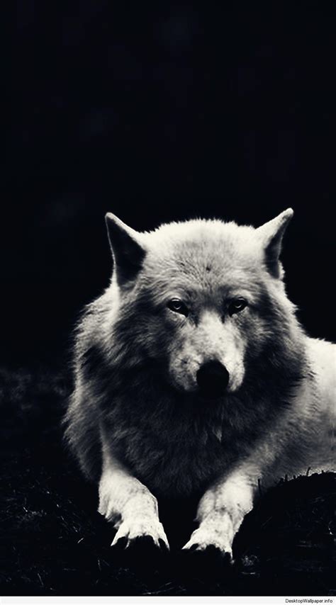 If you want give credit our photos please mention our url in place of use only. Dark Wolves Wallpapers - Wallpaper Cave