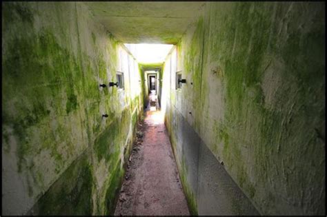 Il Est Désormais Possible D Acheter Un Ancien Bunker Abandonné Pour La Somme De 28 000
