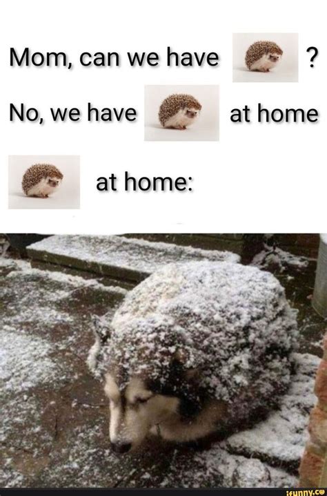 We Have At Home Meme Template Post Your Templates Or Request One