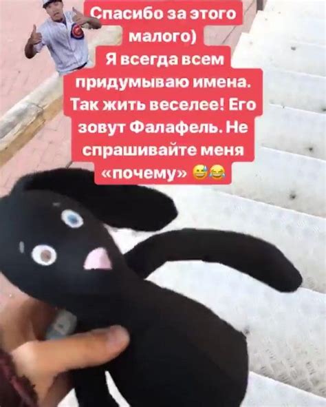 Melovinfan Su Instagram Божечки кошечкикакая милота ️ Правда