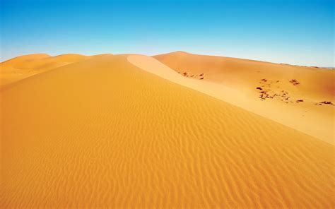 Die 71 Besten Wüste Hintergrundbilder