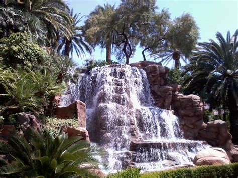 Fast Paced Waterfall Smoothly Cascading Beautiful Palm Trees To Set