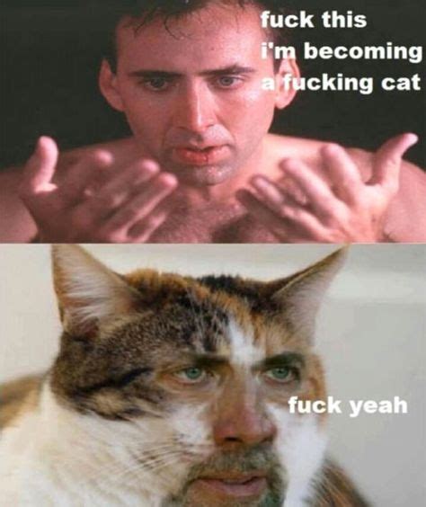 40 Best Nick Cage Memes Images Nicolas Cage Cage Memes