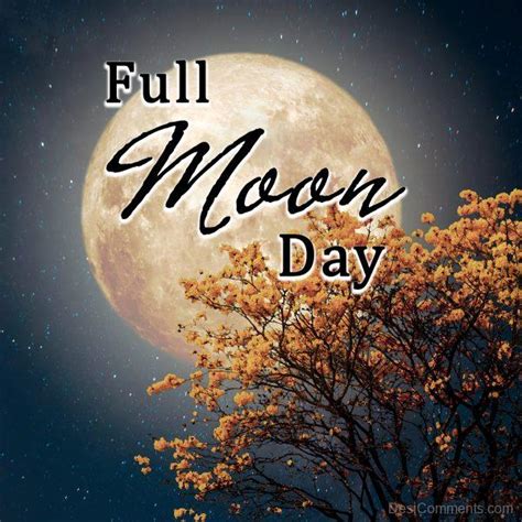 70 Full Moon Day Images Pictures Photos