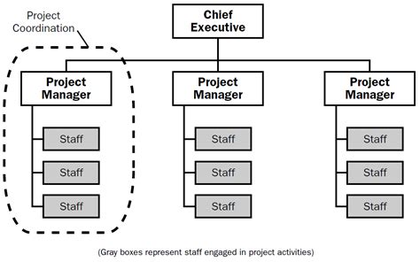 Project Oriented Organizational Structure