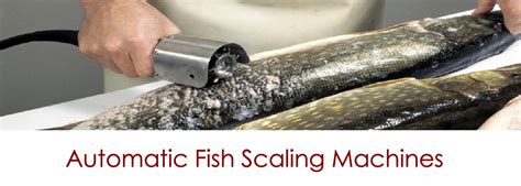 Electric And Automatic Fish Scalers And Pin Bone Removers Autofishscalers