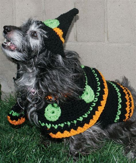 Witch Dog Costume Crochet Dog Pet Halloween Costumes Dog Witch Costume