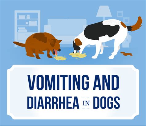 What Does It Mean When Your Dog Is Having Diarrhea And Throwing Up