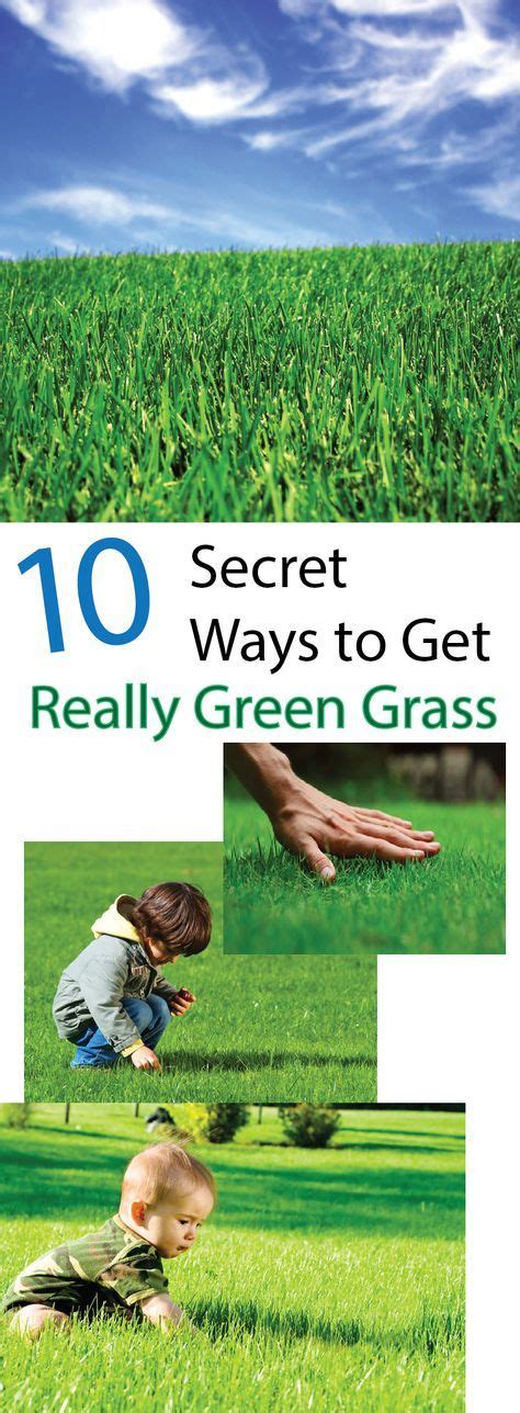This is always a help because you'll see bigger results, quicker. How To Get And Keep Your Grass Green - Making DIY Fun | Green grass, Grass fertilizer, Diy lawn