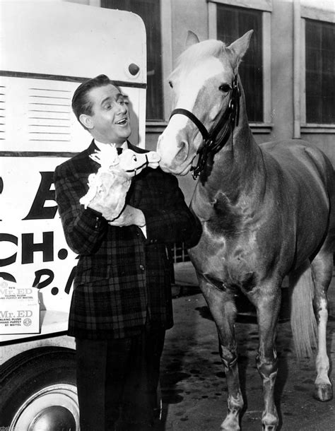 The Famous Mr Ed I Remember Jfk A Baby Boomers Pleasant
