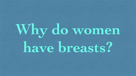 Hypotheses For Breast Evolution Youtube