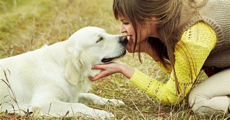 How The Love Hormone Oxytocin Bonds Humans And Dogs