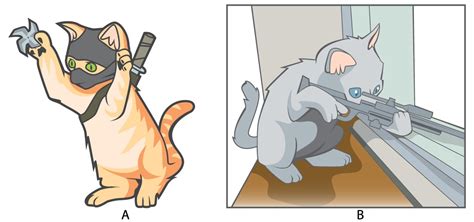 Montgomery Q The Saga Animal Illustration Wednesday Assassin Cats