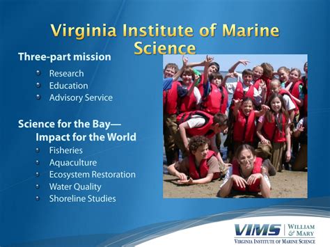 Ppt Virginia Institute Of Marine Science Powerpoint Presentation