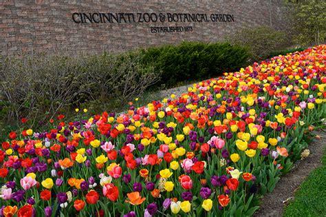 A Photo Tour Of The Cincinnati Zoo And Botanical Gardens Beautiful Zoo