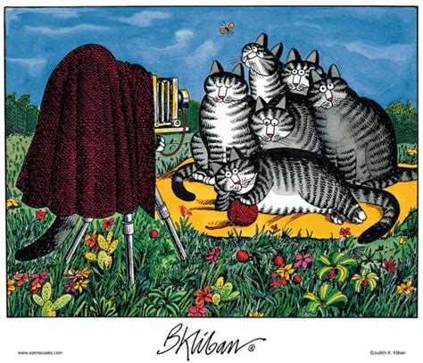 17 Best Images About Kliban Cats On Pinterest Cats Brush Teeth And