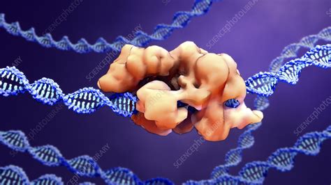 CRISPR Cas9 Gene Editing Complex Illustration Stock Image F028