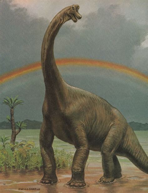 Triassic ∆ Jurassic ∆ Cretaceous Prehistoric Animals Dinosaur Art