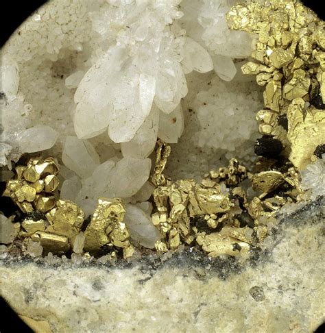 Gold Crystals Photograph By Natural History Museum Londonscience