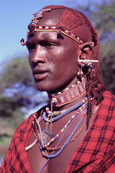 Maasai Warrior Maasai Warrior Tribal