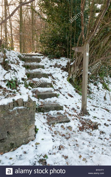 8 Steps Leading Up To A Footpath In The Snow Stock Photo Alamy