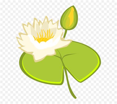 Water Lily Lake Illustration Emojilily Pad Emoji Free Transparent