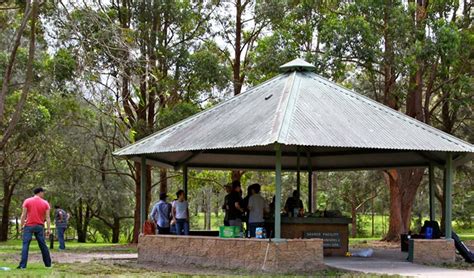 Barbecue Picnic Near Me – Cook & Co